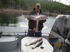 (09/30/2015) - Nice Striped Bass